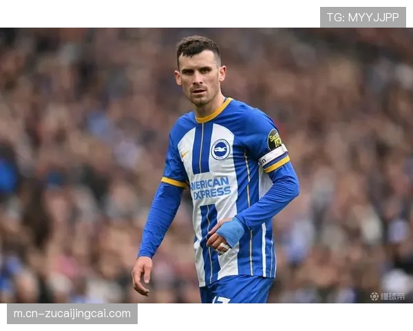 布莱顿格罗斯回归 170万镑转会费为球队带来经验与冷静